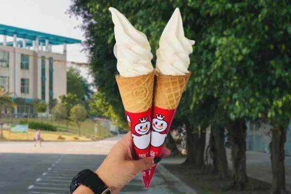 带你领略别样的美味冰淇淋享受